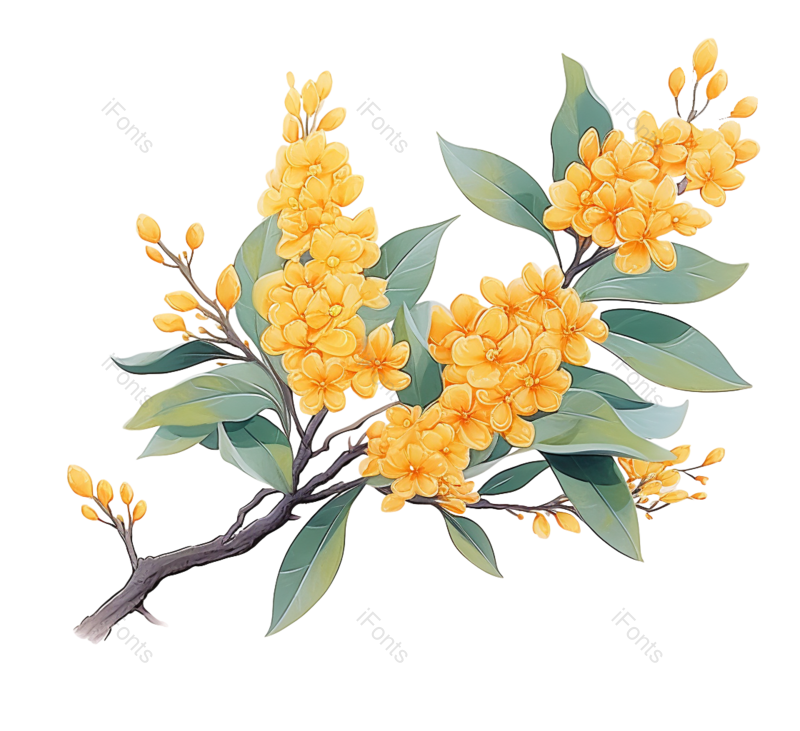 叶子图片,装饰元素,节日PNG,元素免抠素材